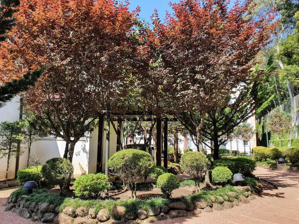 Apto No Centro De Gramado Com Piscina Termica Extérieur photo